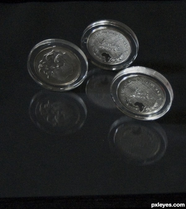 Coin cases